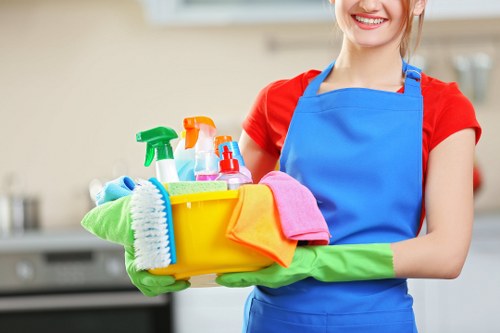 Detailed bathroom deep cleaning in Wimbledon
