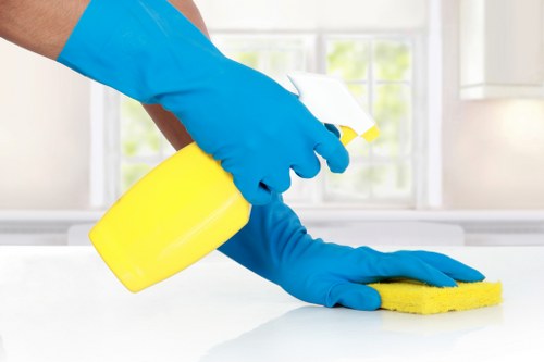 About Us Cleaners Wimbledon supporting clean and welcoming spaces