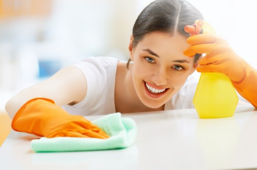 Wimbledon cleaner performing detailed kitchen cleaning