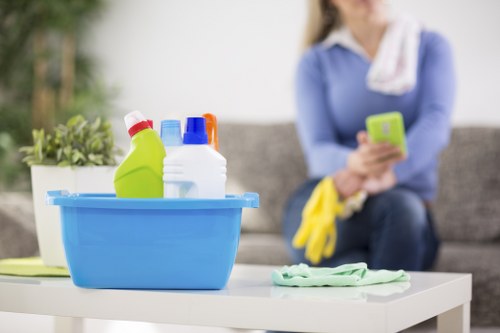 Professional cleaner working in a Wimbledon home