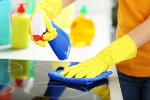 Kitchen domestic cleaning in Wimbledon with polished surfaces