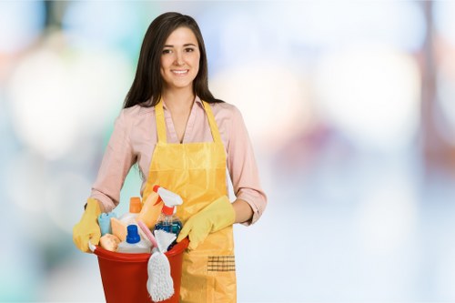 Secure online payment interface for Wimbledon cleaning services